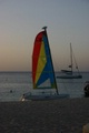 img_7982.jpg