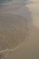 p4150051.jpg