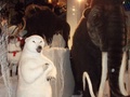 pc240356.jpg