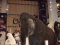 pc240357.jpg