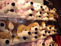 pc240359.jpg
