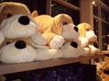 pc240360.jpg