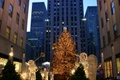 img_6572.jpg