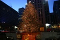 img_6585.jpg