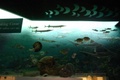 img_7372.jpg