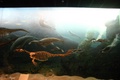img_7376.jpg
