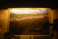 img_7381.jpg
