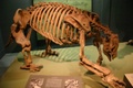 img_7386.jpg